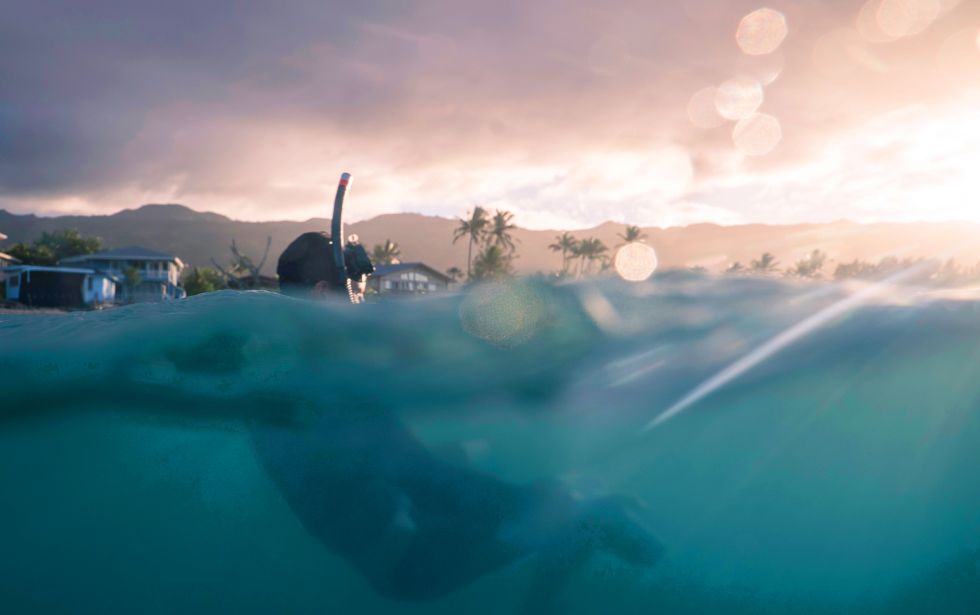 portugal cleanup beach tauchen