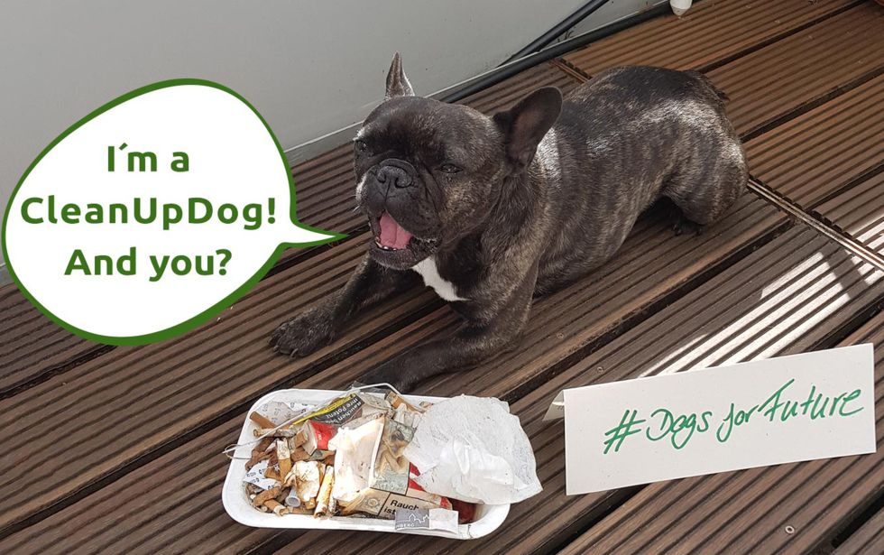 dogs for future cleanup dog