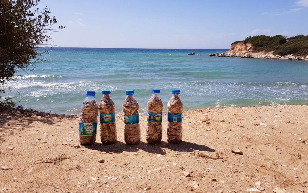gesammelte Zigarettenkippen am Strand