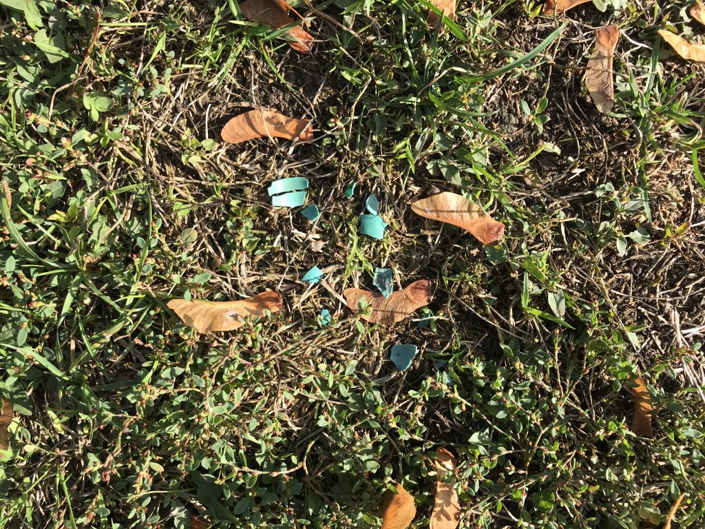 Plastikpartikel in der Erde