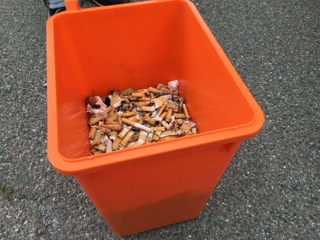 zigaretten kippen-grundwasser